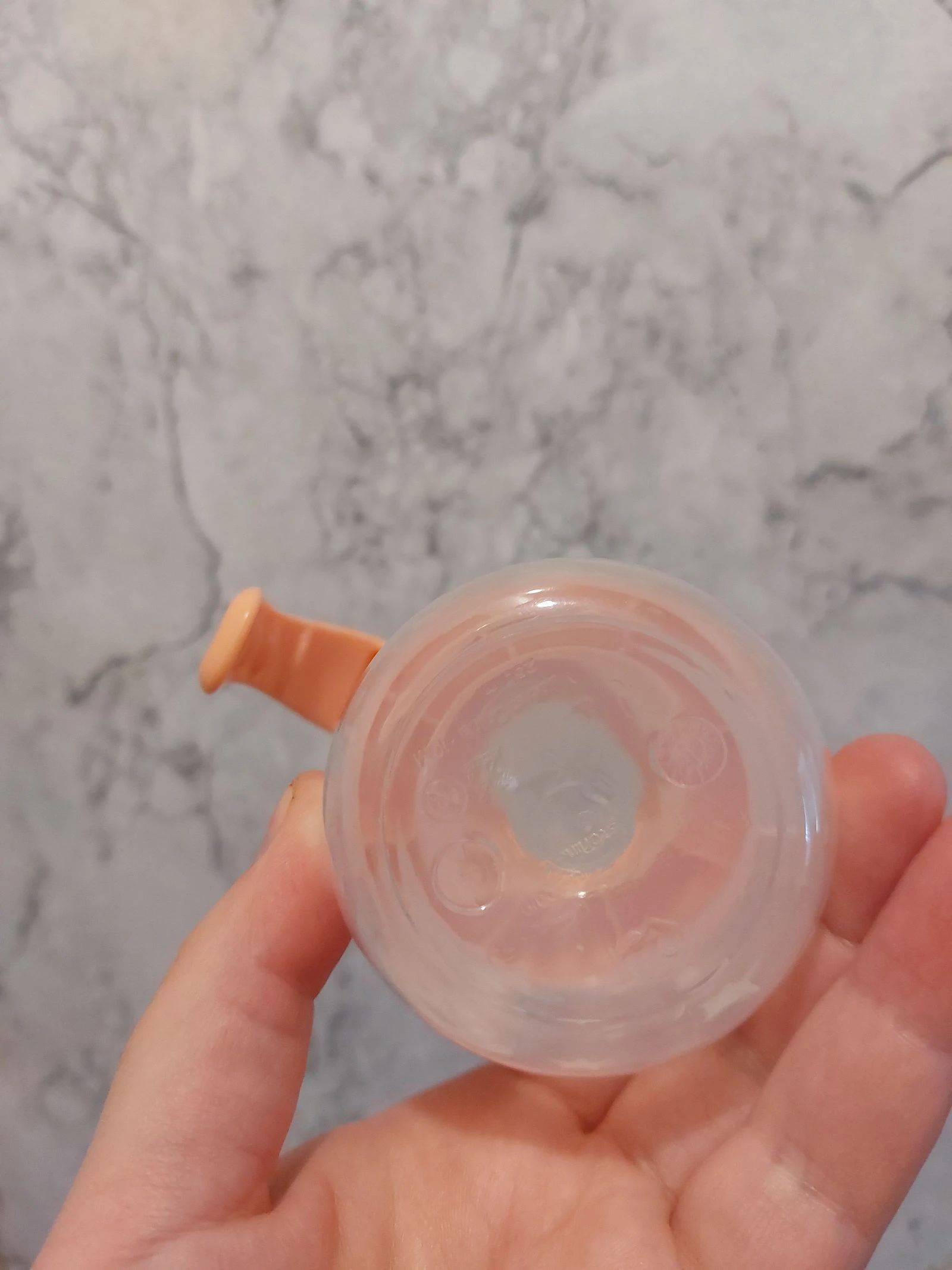 Gourde aprendizaje – photo 4